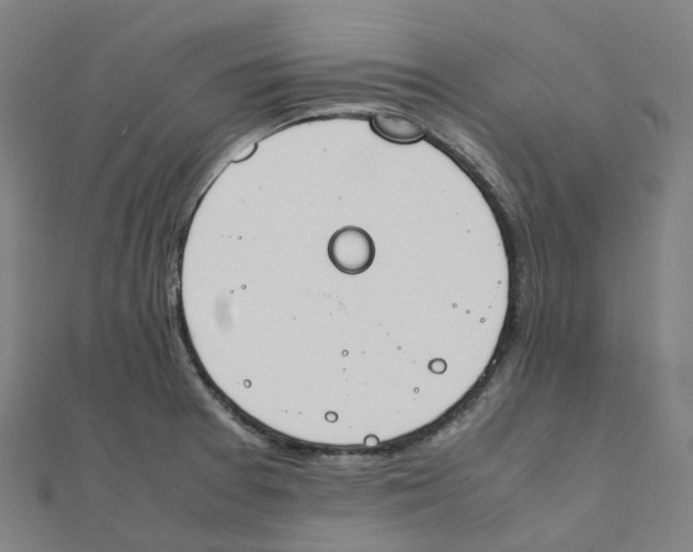 X0000111431377200908101107
