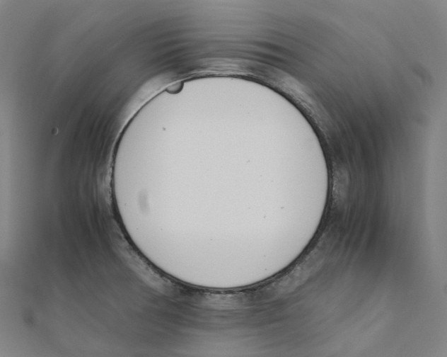 X0000111431378200908101107