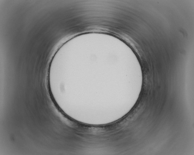 X0000111431379200908101107