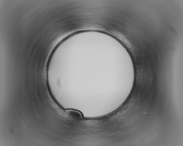 X0000111431380200908101107