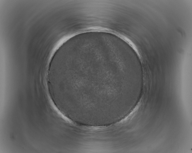 X0000111431381200908101107