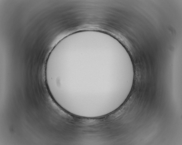 X0000111431382200908101107