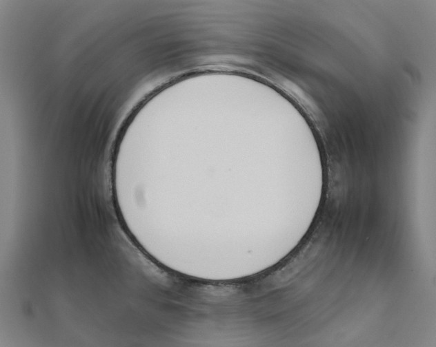 X0000111431384200908101107