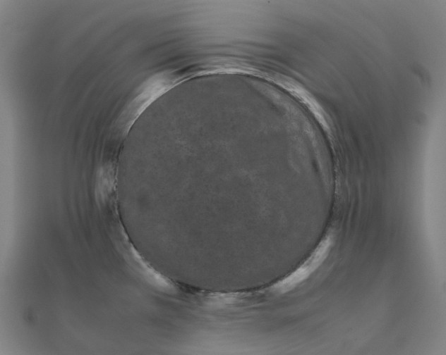 X0000111431385200908101107