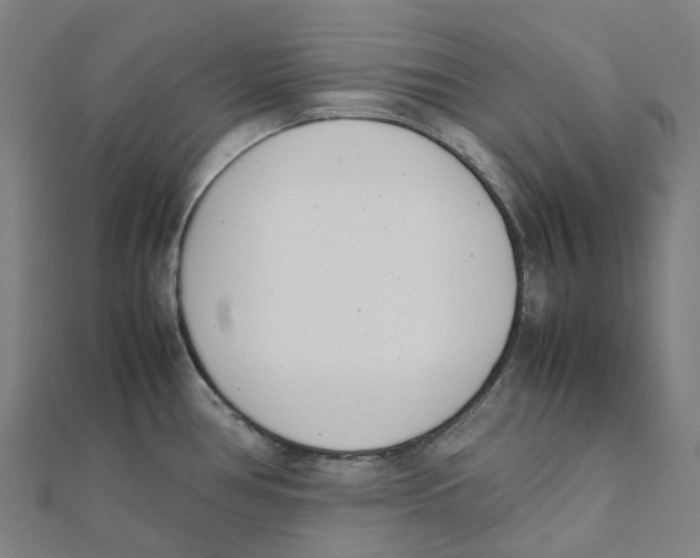 X0000111431386200908101107