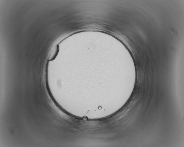 X0000111431387200908101107