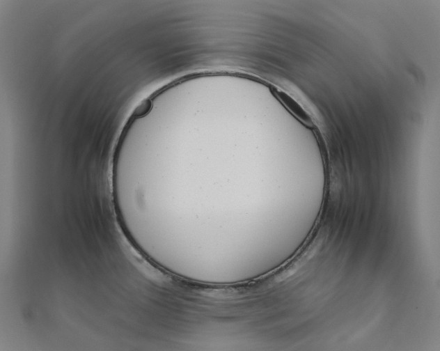X0000111431388200908101107