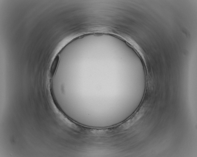 X0000111431389200908101107