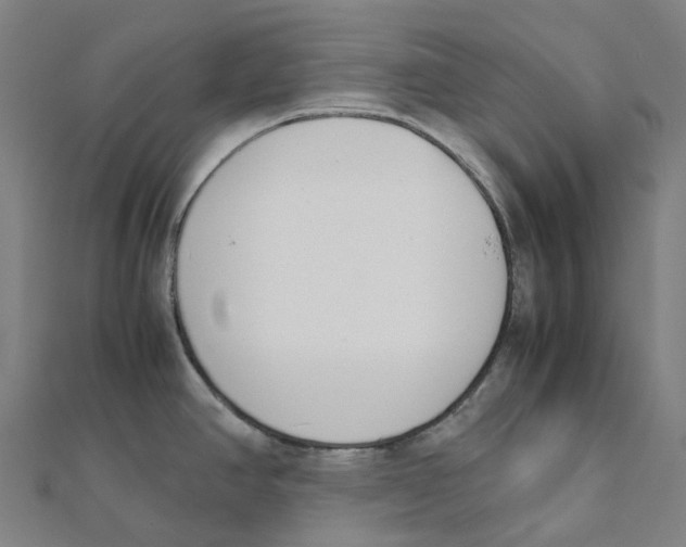 X0000111431390200908101107