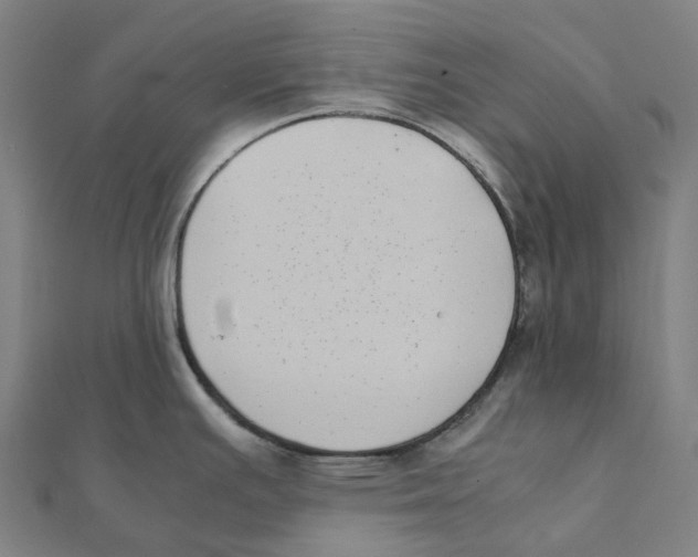 X0000111431391200908101107