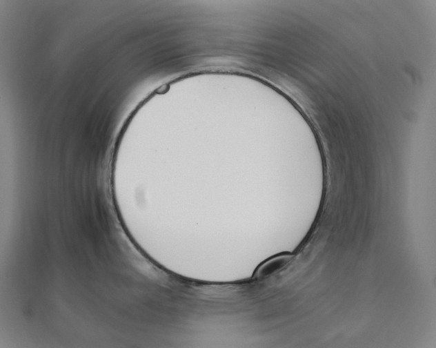 X0000111431392200908101107