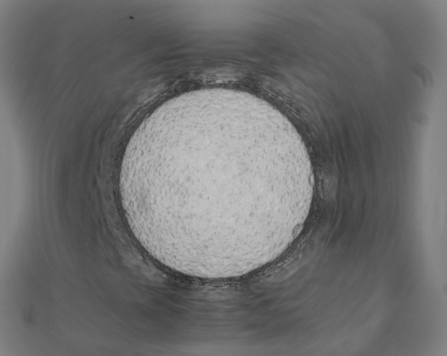 X0000111431393200908101106