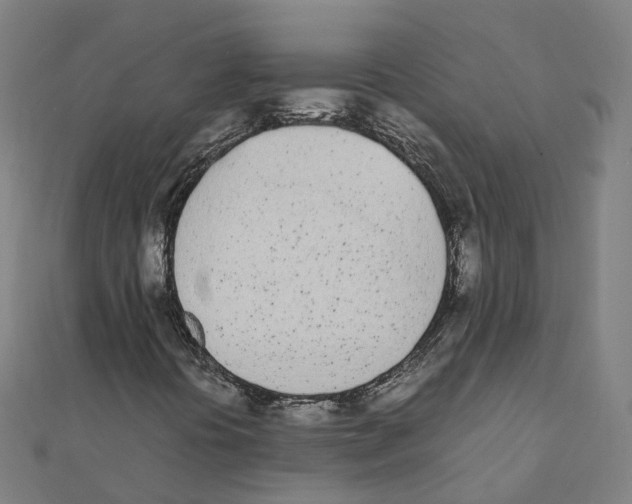 X0000111431394200908101106