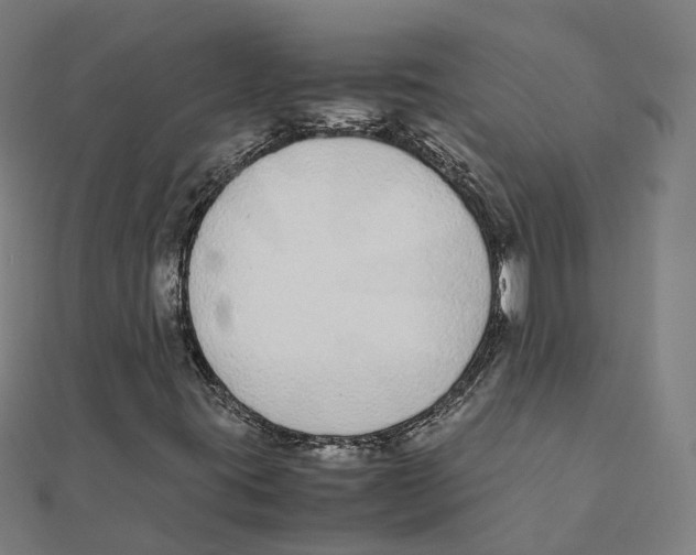 X0000111431395200908101106