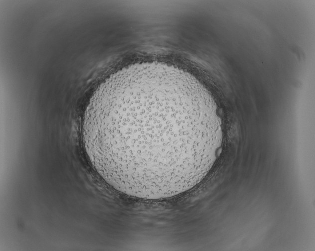 X0000111431397200908101106