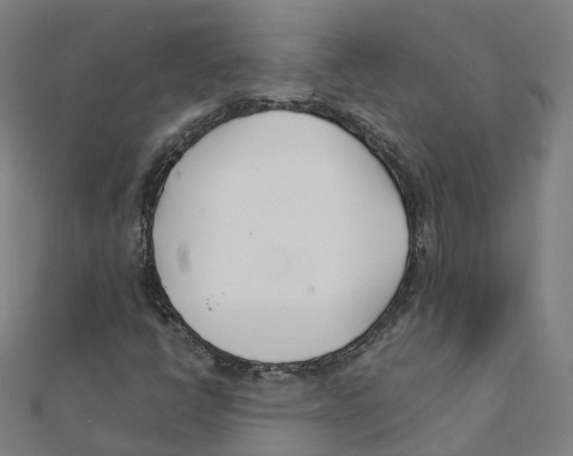 X0000111431398200908101106