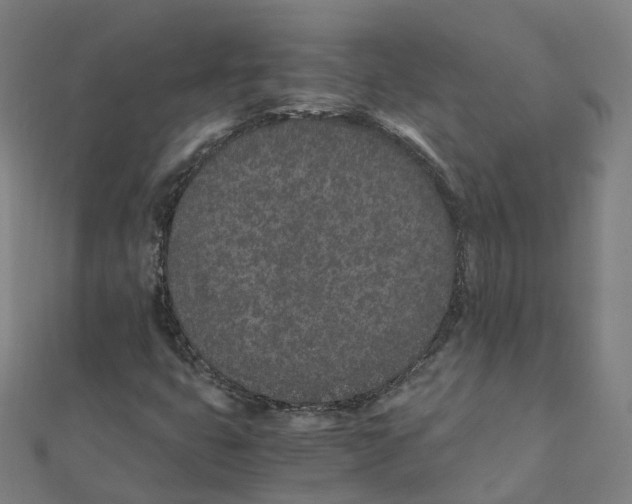 X0000111431399200908101106