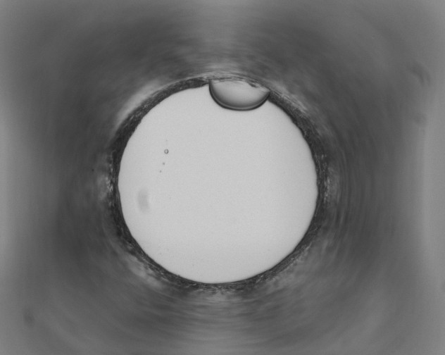 X0000111431400200908101106