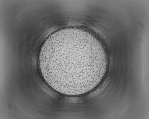 X0000111431401200908101106