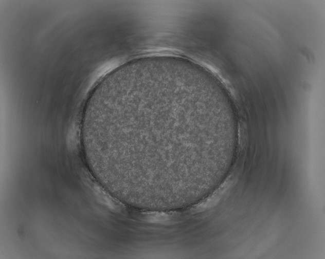 X0000111431405200908101107