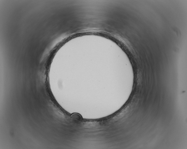 X0000111431406200908101107