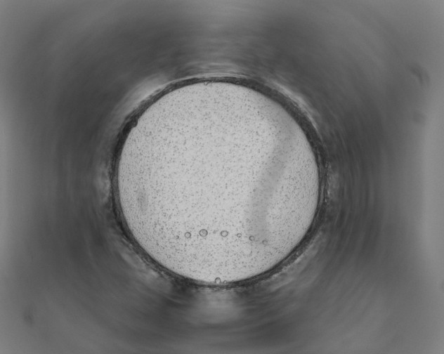 X0000111431407200908101107
