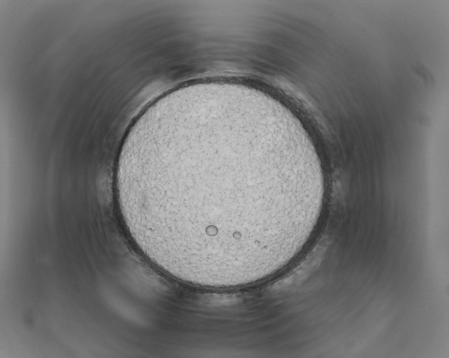 X0000111431409200908101107