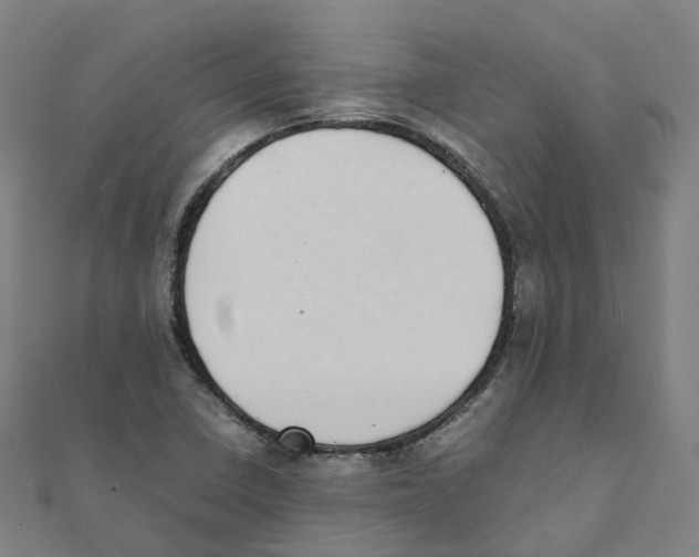 X0000111431410200908101107