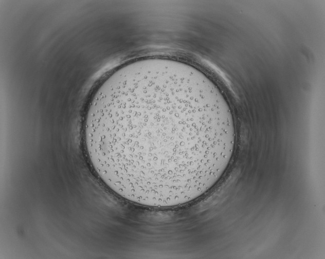 X0000111431411200908101107