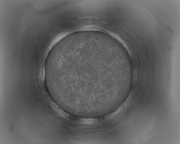X0000111431413200908101107