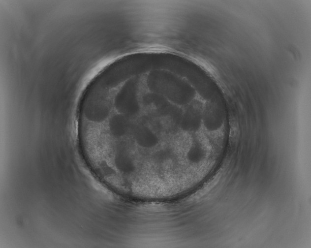 X0000111431414200908101107