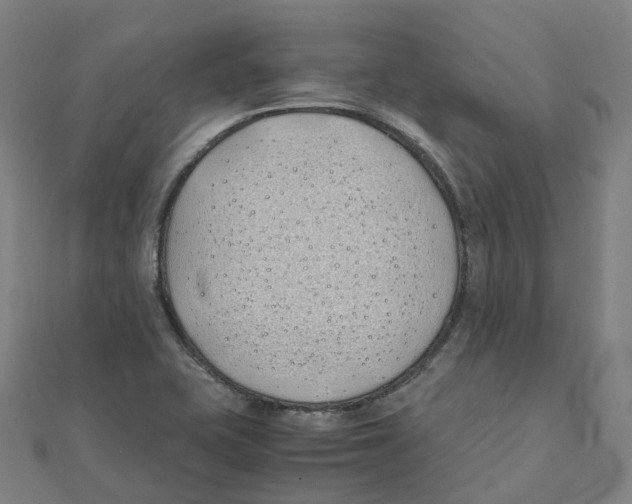 X0000111431415200908101107