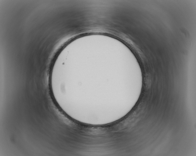 X0000111431416200908101107