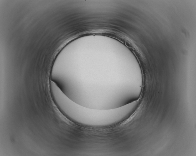 X0000111431417200908101107