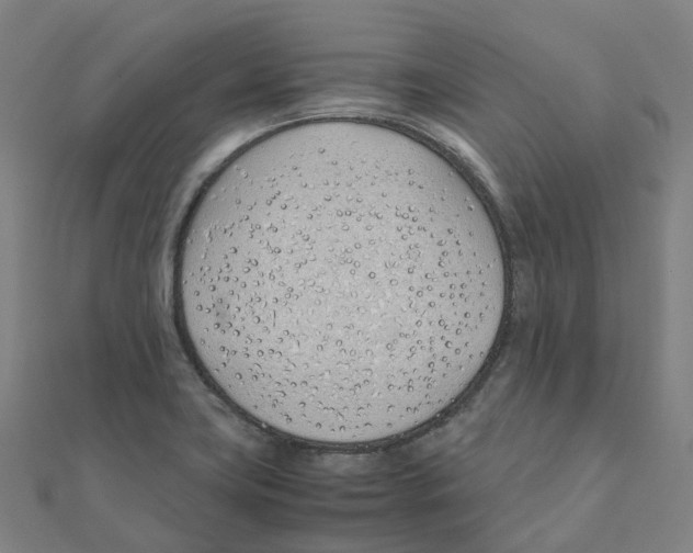 X0000111431419200908101107