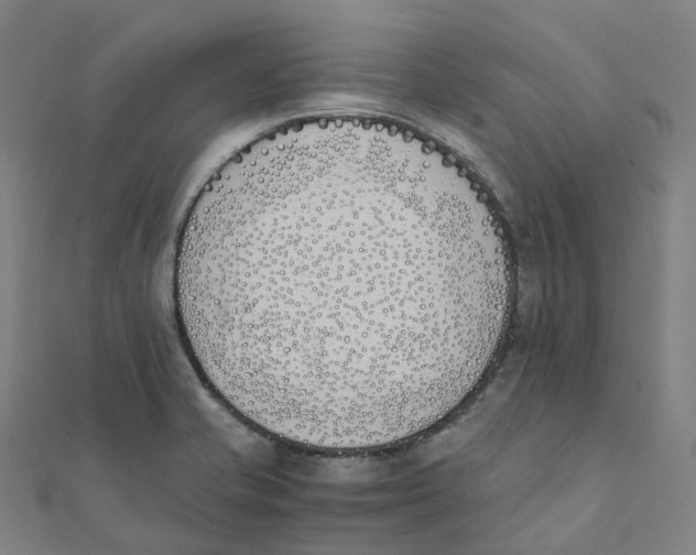 X0000111431421200908101107