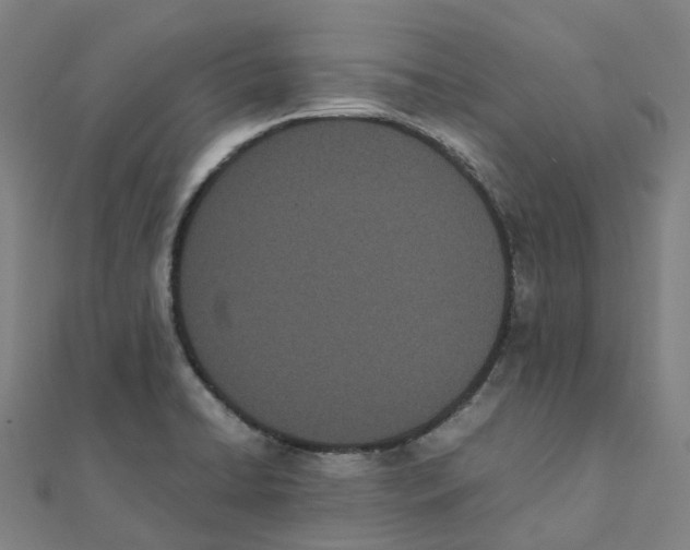 X0000111431422200908101107