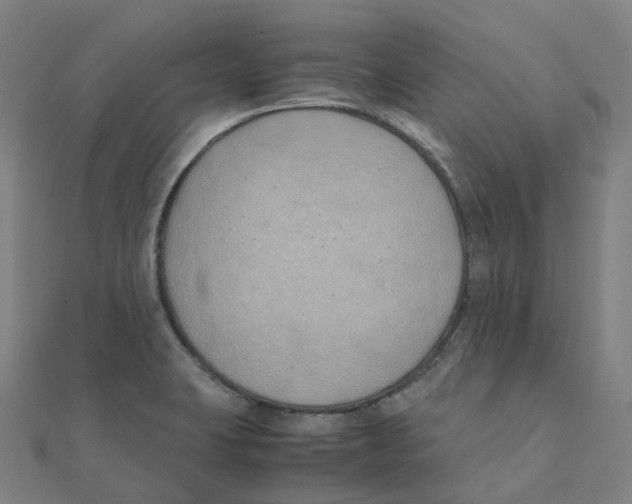X0000111431423200908101107