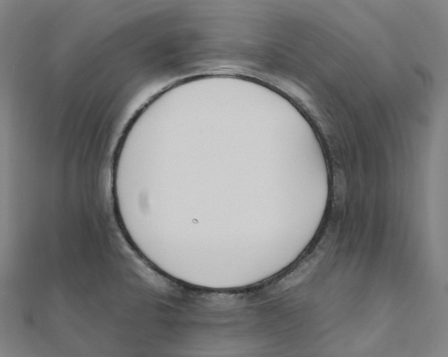 X0000111431424200908101107