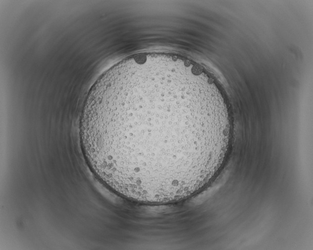 X0000111431425200908101107