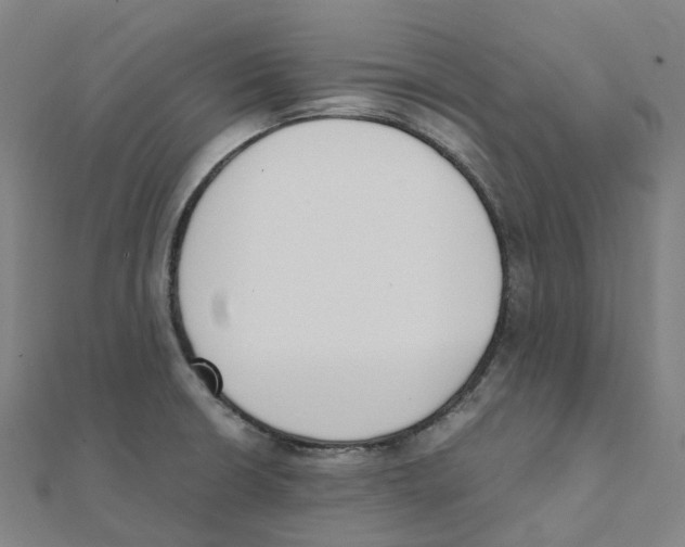 X0000111431426200908101107