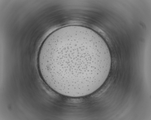 X0000111431427200908101107