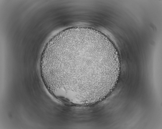 X0000111431429200908101107
