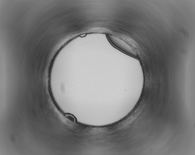 X0000111431430200908101107