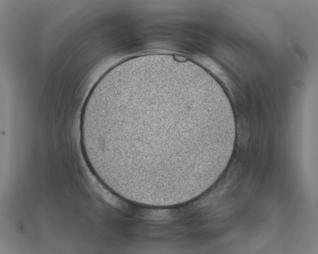 X0000111431431200908101107
