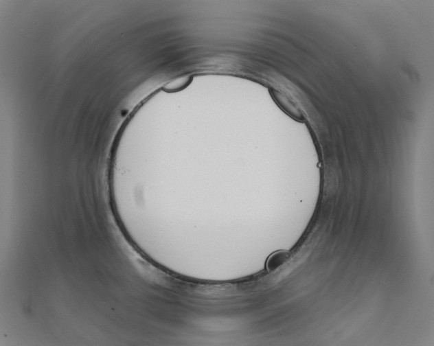 X0000111431434200908101107