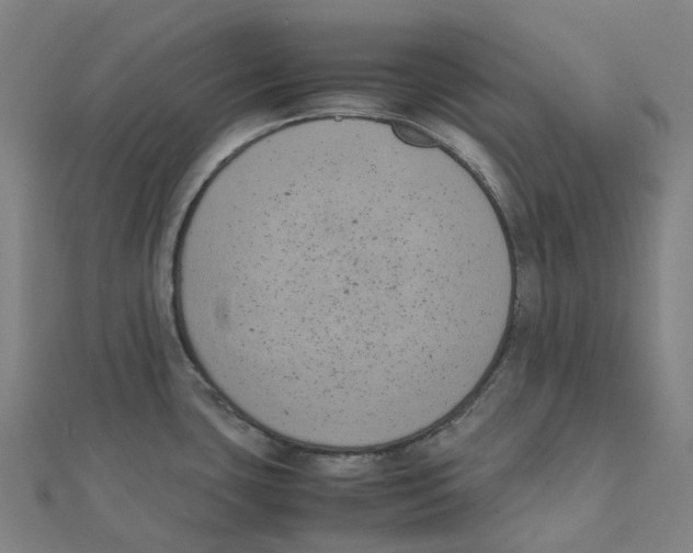 X0000111431435200908101107