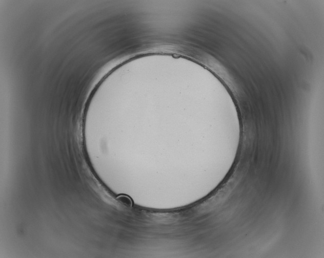 X0000111431436200908101107