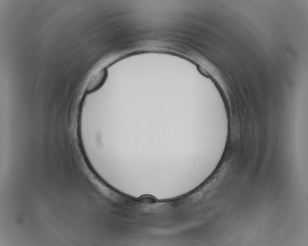 X0000111431437200908101107