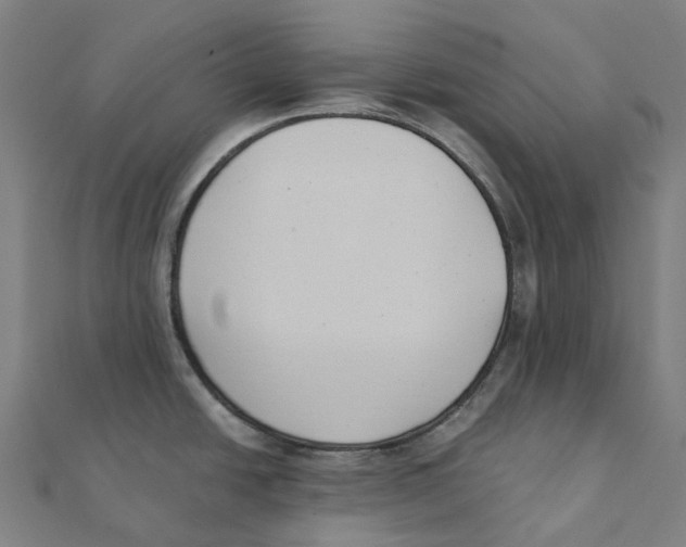 X0000111431438200908101107